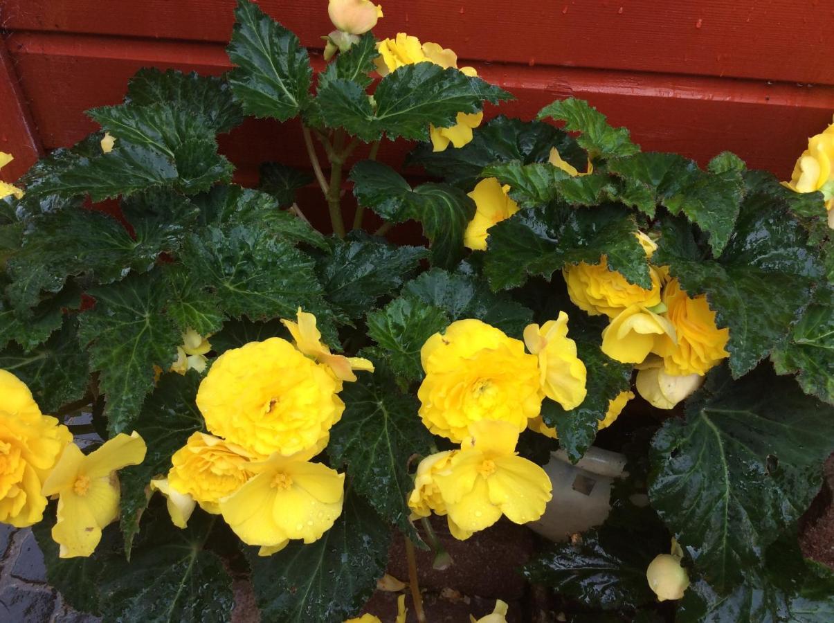 Rosebank Guest House Inverness Luaran gambar